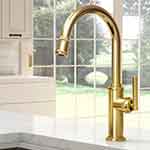Heany Kitchen Collection in Forever Brass (01)