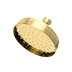 Forever Brass - PVD
