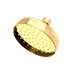 Uncoated Polished Brass - Living