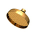 Polished Gold - PVD