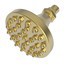 Satin Gold - PVD