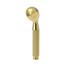 Polished Gold - PVD