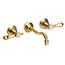 Uncoated Polished Brass - Living