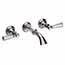 Polished Nickel