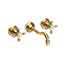Uncoated Polished Brass - Living