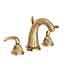 Uncoated Polished Brass - Living