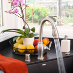 Pull Down/Pull Out Faucets