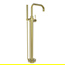 Uncoated Polished Brass - Living