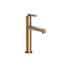 Antique Brass