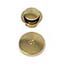 Polished Gold - PVD