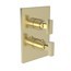 French Gold - PVD