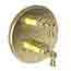 Uncoated Polished Brass - Living