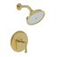 Polished Gold - PVD