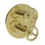 Forever Brass - PVD