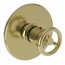 Uncoated Polished Brass - Living