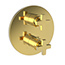 Polished Gold - PVD