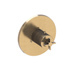 Antique Brass