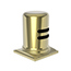 Uncoated Polished Brass - Living