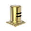 Polished Gold - PVD