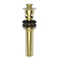 Uncoated Polished Brass - Living