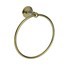 Uncoated Polished Brass - Living