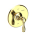 Uncoated Polished Brass - Living