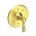 Satin Brass - PVD