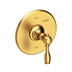 Satin Gold - PVD