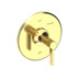 Uncoated Polished Brass - Living
