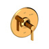Polished Gold - PVD