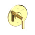 Uncoated Polished Brass - Living
