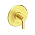 Satin Brass - PVD
