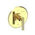 Uncoated Polished Brass - Living