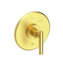 Satin Brass - PVD