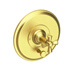 Satin Brass - PVD