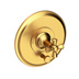 Satin Gold - PVD