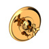 Polished Gold - PVD