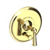 Uncoated Polished Brass - Living