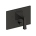 Flat Black