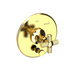 Uncoated Polished Brass - Living