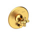 Satin Gold - PVD