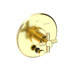 Forever Brass - PVD