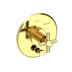 Uncoated Polished Brass - Living