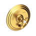 Satin Gold - PVD