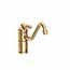 Uncoated Polished Brass - Living