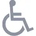 ADA compliant icon