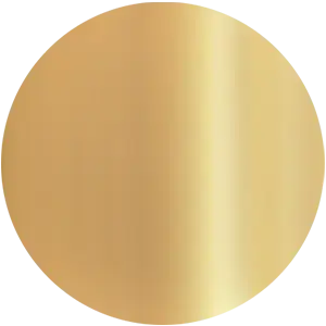 POLISHED GOLD PVD 24